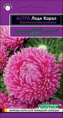 ���� ����� ������������-������� ����� ����� ���������