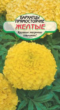 ������ ������������ ��������