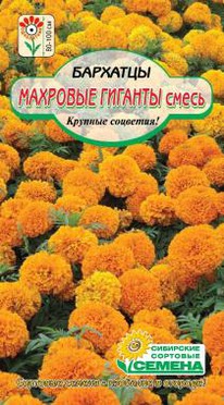 �������� �������,����� ��������