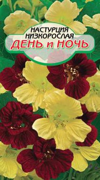 ���� � ���� ����������� ��������� 1��