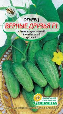 ������ ������ F1 ������