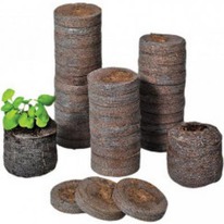 �������� (24��) ������-7 (1��/2000��)