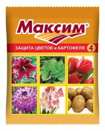 ������  ��� ������� �� ������