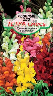 �����, ����� ������� ��� 60��