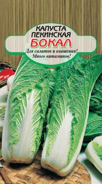 ����� ������� ���������