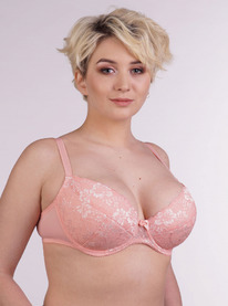 2204 �����������