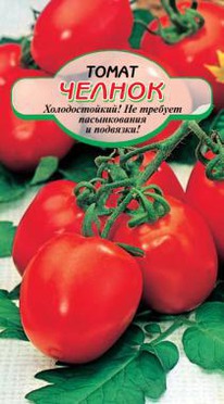 ������ �����