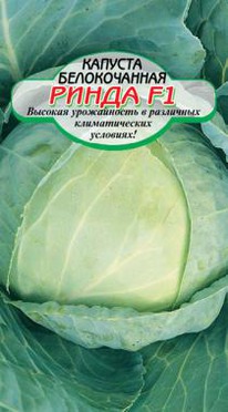 ����� F1 �������