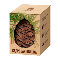 �������� ����� / ������� / ��