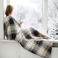 ���� �������� 