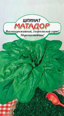 ������ �������