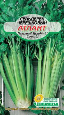 ������ ���������� ���������