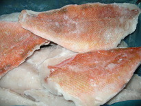 ���� ����� ��� ������ ��� 5��